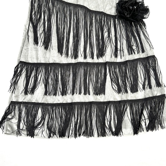 Roaring 20s Flapper Grey Velvet Black Fringe 4pc Halloween Cosplay Costume - Picture 2 of 8